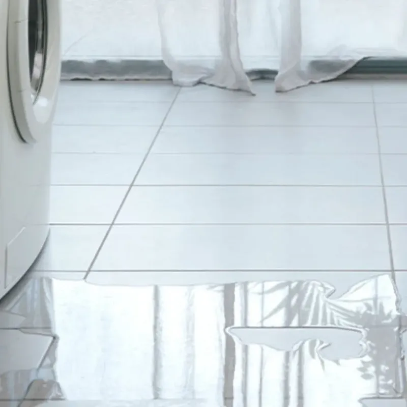 Appliance Leak Cleanup in Woodbridge, CA